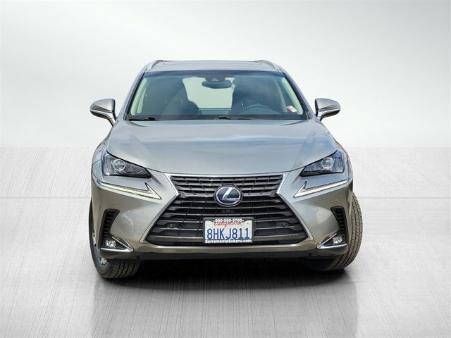 2019 Lexus NX 300h