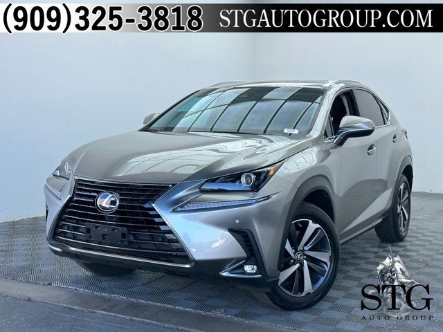 2019 Lexus NX 300h