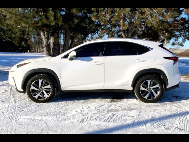 2019 Lexus NX 300h