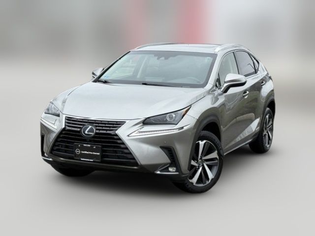 2019 Lexus NX 300h