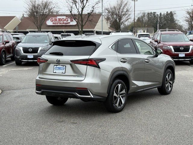 2019 Lexus NX 300h