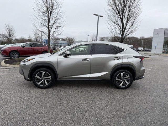 2019 Lexus NX 300h