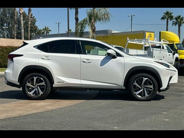 2019 Lexus NX 300h