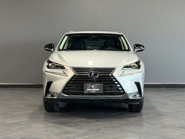 2019 Lexus NX 300h