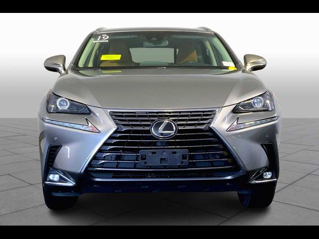 2019 Lexus NX 300
