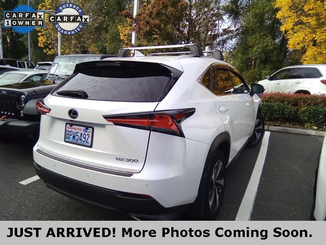 2019 Lexus NX 300