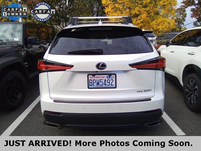 2019 Lexus NX 300