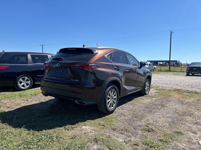 2019 Lexus NX 300