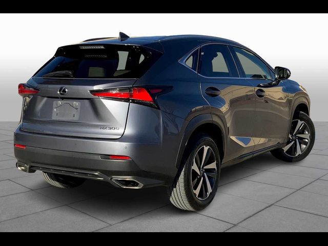 2019 Lexus NX 300