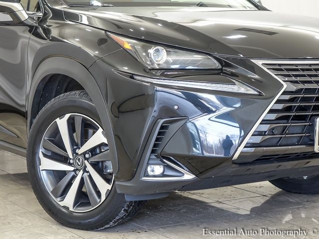 2019 Lexus NX 300