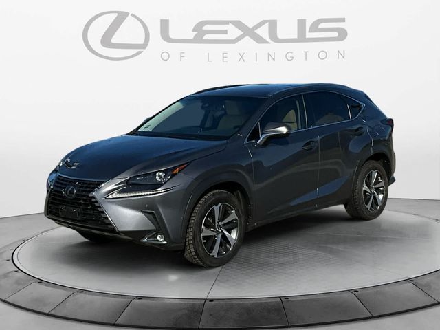 2019 Lexus NX 300