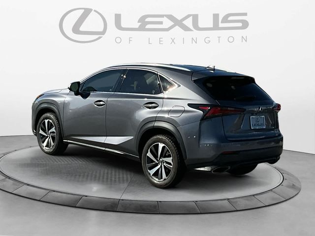 2019 Lexus NX 300