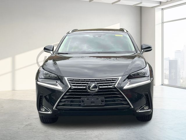 2019 Lexus NX 300