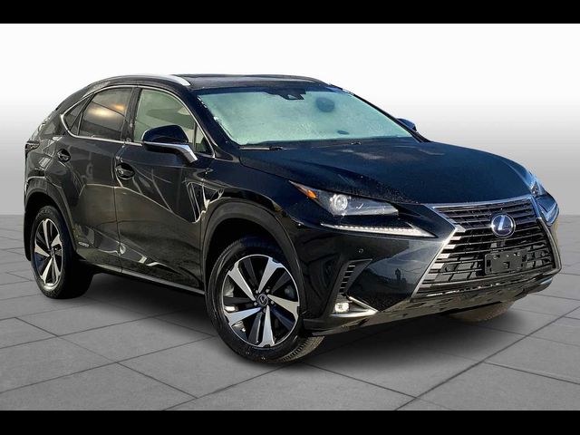 2019 Lexus NX 300h