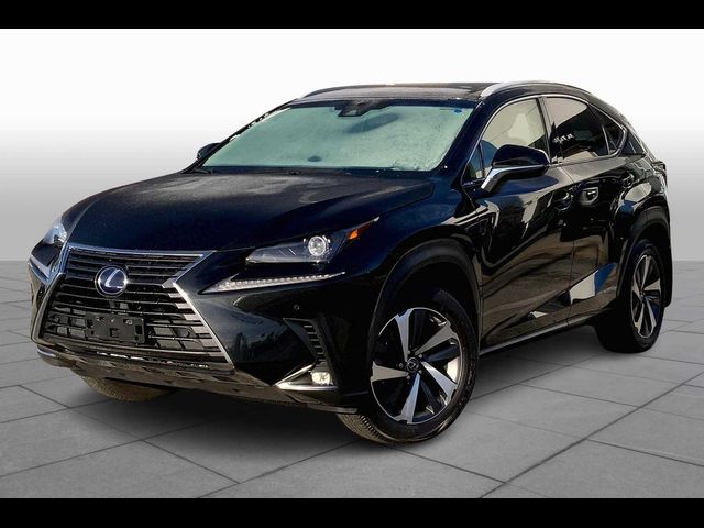 2019 Lexus NX 300h