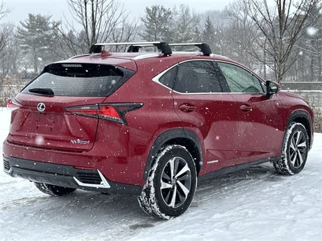 2019 Lexus NX 300h