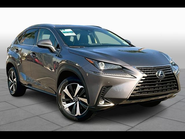 2019 Lexus NX 300h