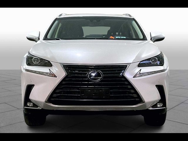 2019 Lexus NX 300h