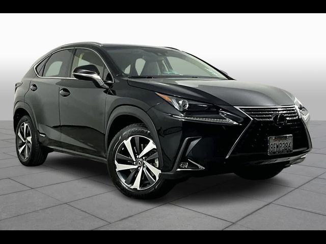 2019 Lexus NX 300h