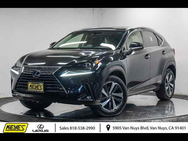 2019 Lexus NX 300h