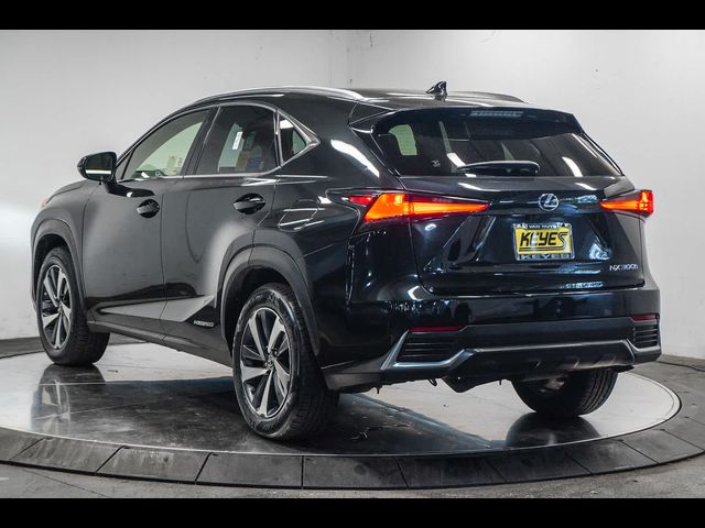 2019 Lexus NX 300h