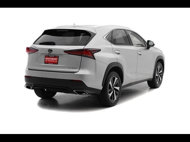 2019 Lexus NX 300