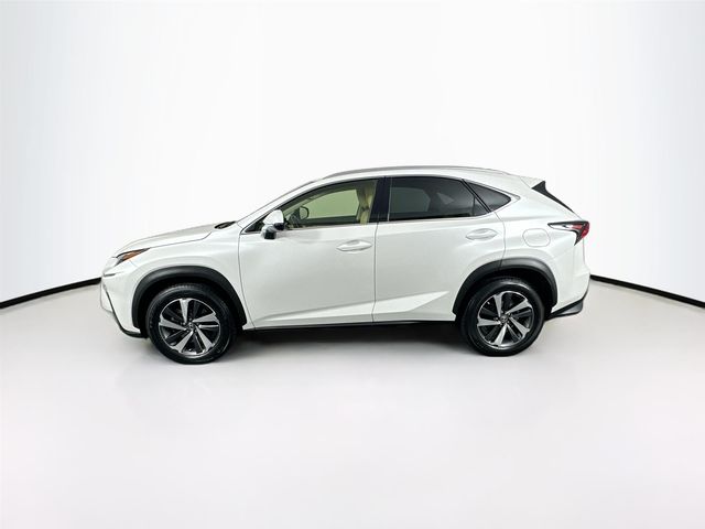 2019 Lexus NX 300 F Sport