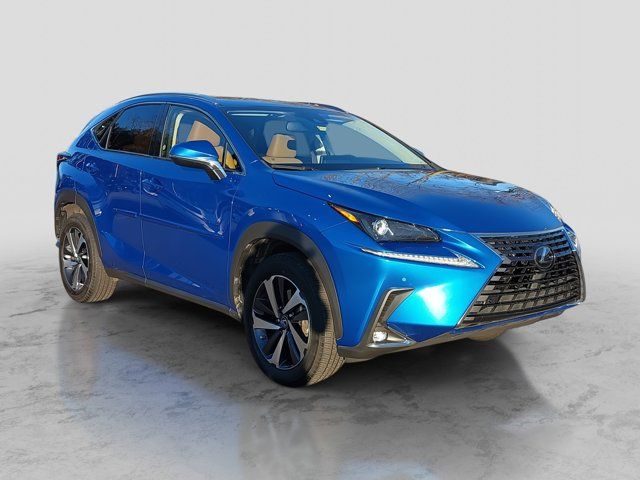 2019 Lexus NX 300