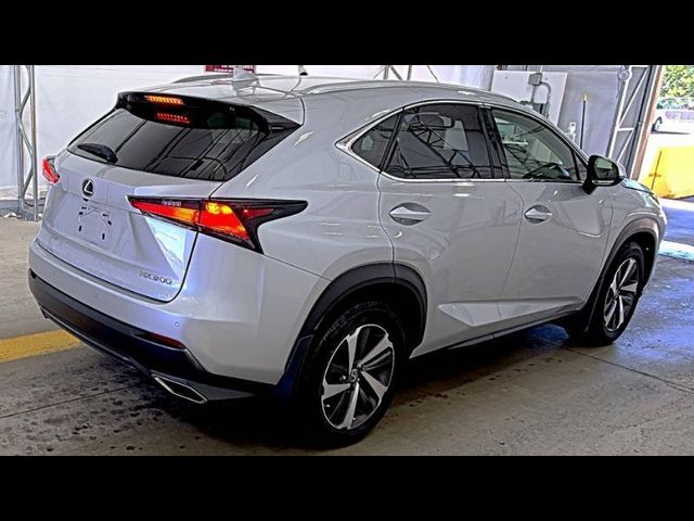 2019 Lexus NX