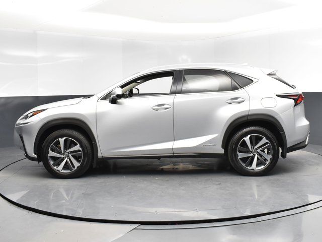 2019 Lexus NX 300h