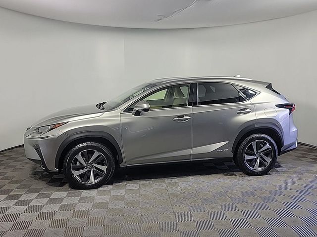 2019 Lexus NX 300h