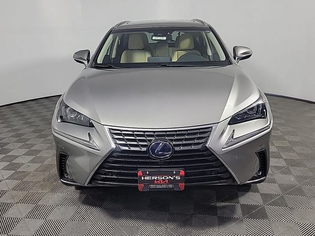 2019 Lexus NX 300h