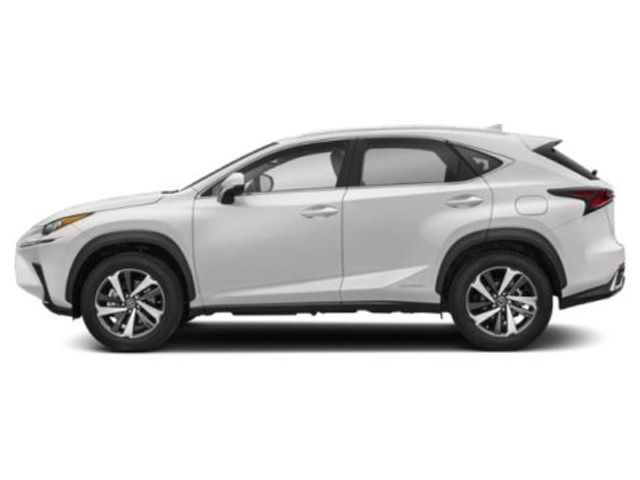 2019 Lexus NX 300h