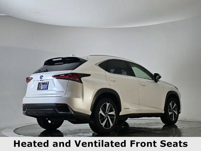 2019 Lexus NX 300h