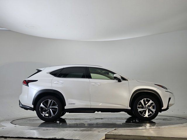 2019 Lexus NX 300h