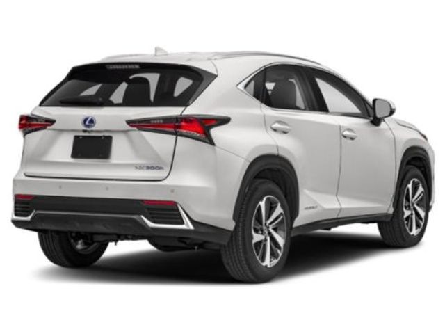 2019 Lexus NX 300h