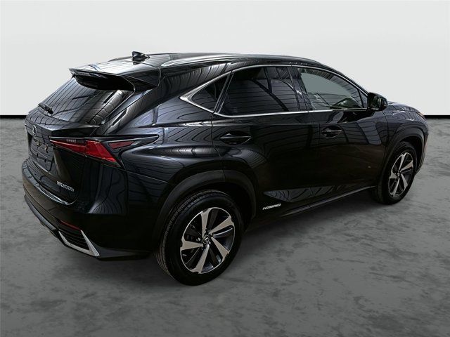 2019 Lexus NX 300h