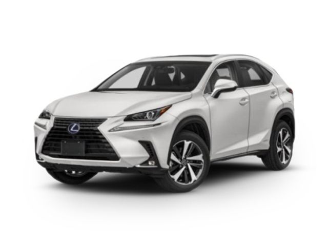 2019 Lexus NX 300h