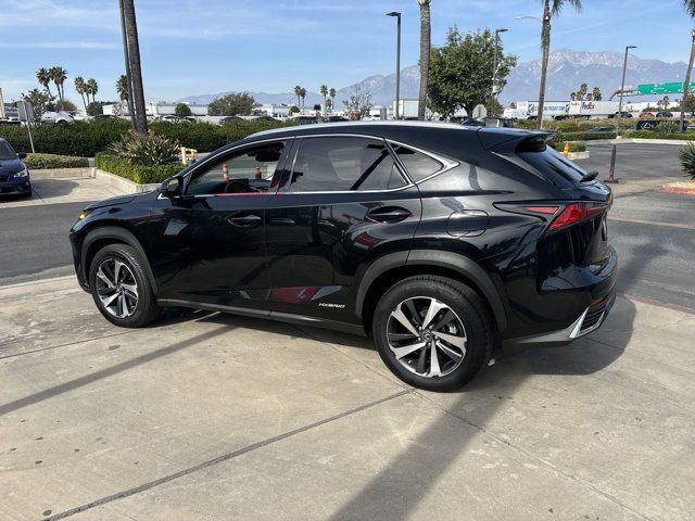 2019 Lexus NX 300h