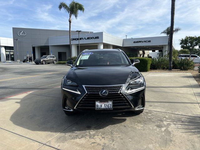 2019 Lexus NX 300h