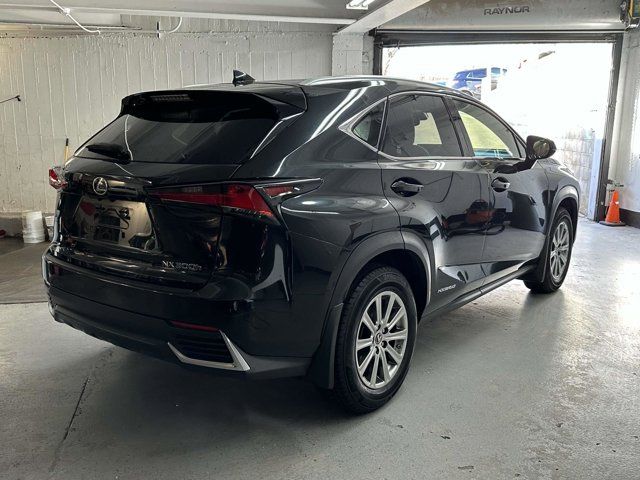 2019 Lexus NX 300h