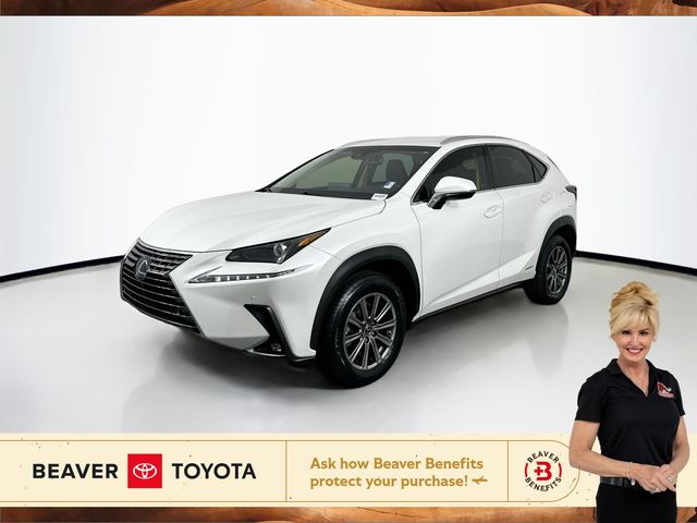 2019 Lexus NX 300h