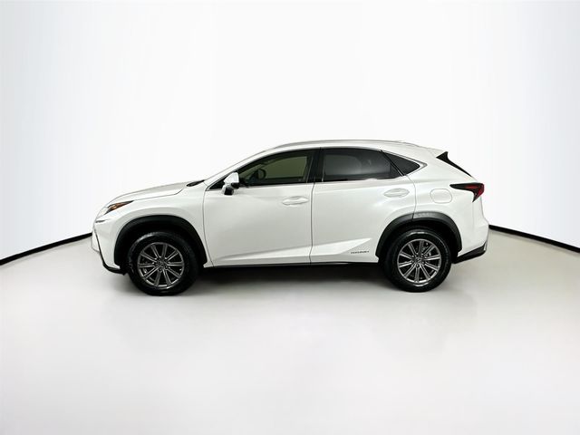 2019 Lexus NX 300h