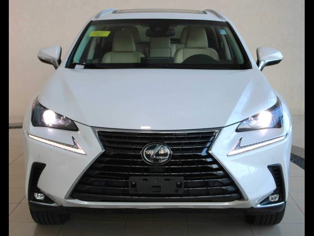2019 Lexus NX 300