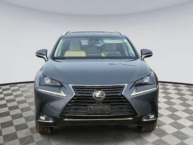 2019 Lexus NX 300