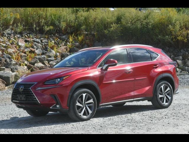 2019 Lexus NX 