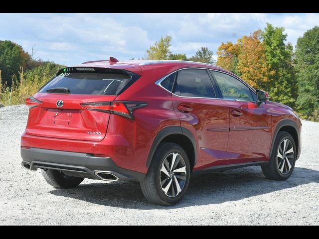 2019 Lexus NX 