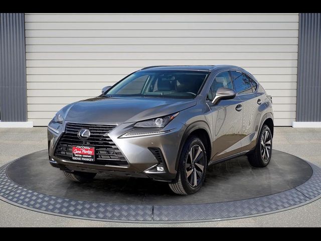 2019 Lexus NX 