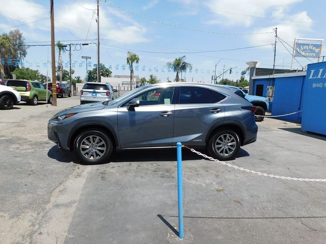 2019 Lexus NX 300h