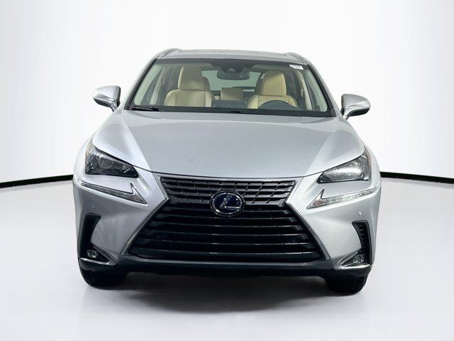 2019 Lexus NX 300h